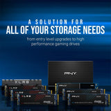 PNY CS2130 1TB M.2 2280 Internal Solid State Drive, Read up to 3,500,3D Flash Memory Nand : M280CS2130-1TB-RB Hard Drives JS Bazar