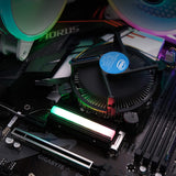 DarkFlash DM2 ARGB Aluminum ARGB M.2 SSD With Heatsink, Cooler M2 NGFF 2280 : DM2 ARGB Hard Drives JS Bazar