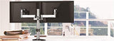 NEWSTAR is a dual monitor desk monitor stand | 91-LDT11C024 Desktop Mount JS Bazar