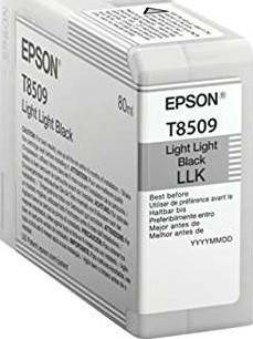 Epson UltraChrome HD T850 Light Light Black Ink Cartridge (T850900) Cartridges JS Bazar