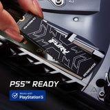 Kingston Fury Renegade 500GB Internal Gaming SSD, PCIe Gen 4.0 NVMe, M.2 2280 : SFYRS/500G Hard Drives JS Bazar